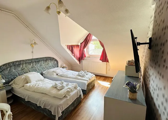 בית הארחה Centrum Panzio 3*